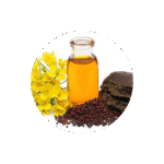 5L Black Mustard Oil