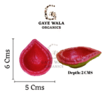 Gomay Colourful Designer Deepak 108 Pcs/Cow Dung deepak (Diye) - Image 2