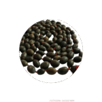 Kamalgatta Mala - Image 2