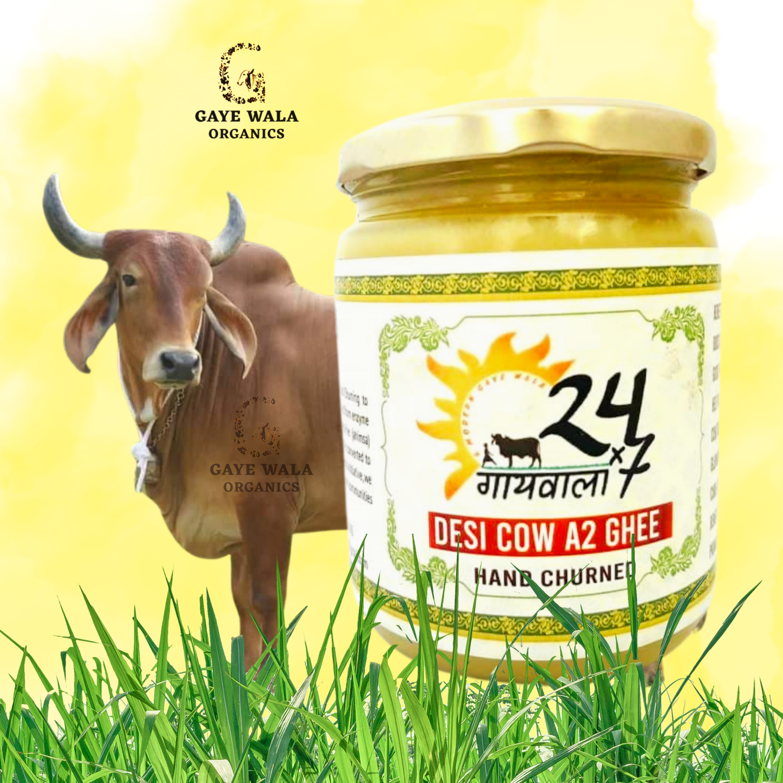 Desi Cow Bilona Ghee/A2 Ghee-1/2 Litre-Hand Churned - Image 6